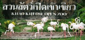 Khao Kheow Open zoo